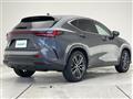 2024 Lexus NX