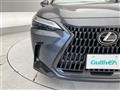 2024 Lexus NX