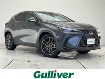 2024 Lexus NX