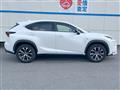 2014 Lexus NX