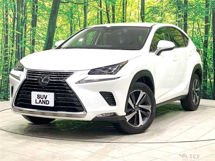 2020 Lexus NX