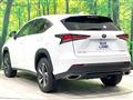 2020 Lexus NX