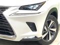 2020 Lexus NX