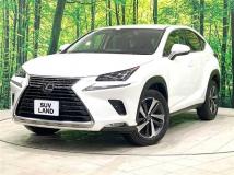 2020 Lexus NX