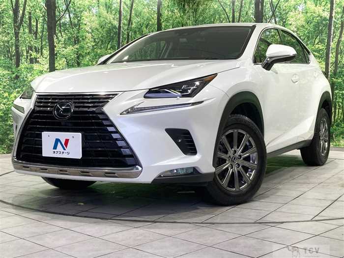 2019 Lexus NX