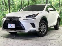 2019 Lexus NX