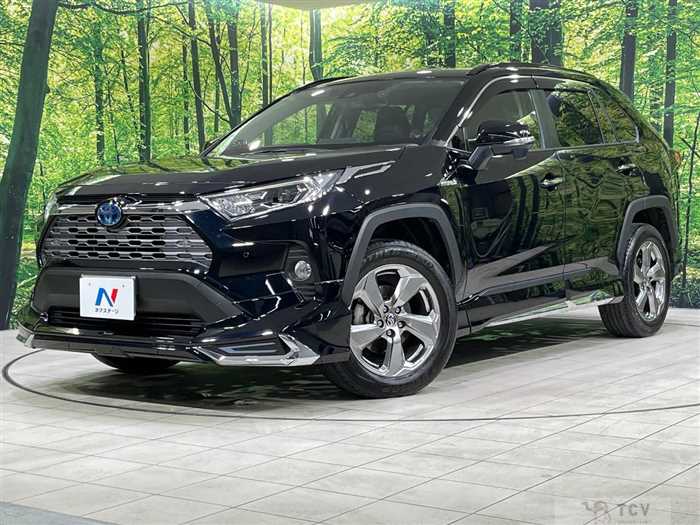 2019 Toyota RAV4