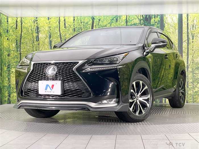 2015 Lexus NX