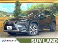 2018 Lexus NX