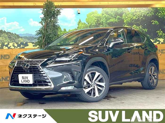 2018 Lexus NX
