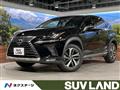 2019 Lexus NX