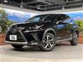 2019 Lexus NX