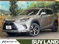 2020 Lexus NX