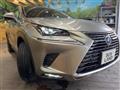2020 Lexus NX