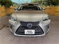 2020 Lexus NX
