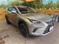 2020 Lexus NX