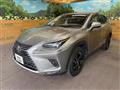 2020 Lexus NX