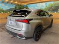 2020 Lexus NX