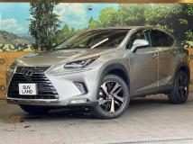 2020 Lexus NX