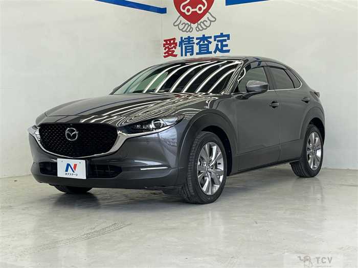 2019 Mazda Mazda Others