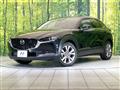 2020 Mazda Mazda Others