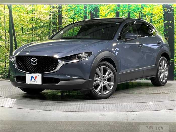 2020 Mazda Mazda Others