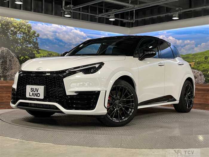 2024 Lexus Other