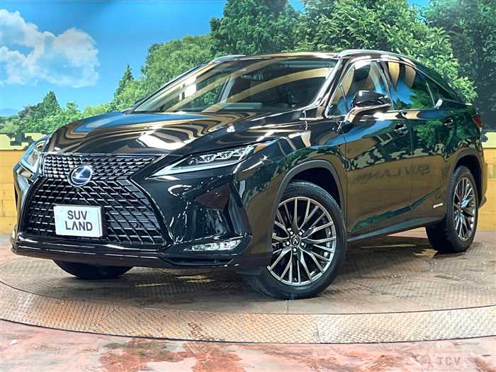 2019 Lexus RX