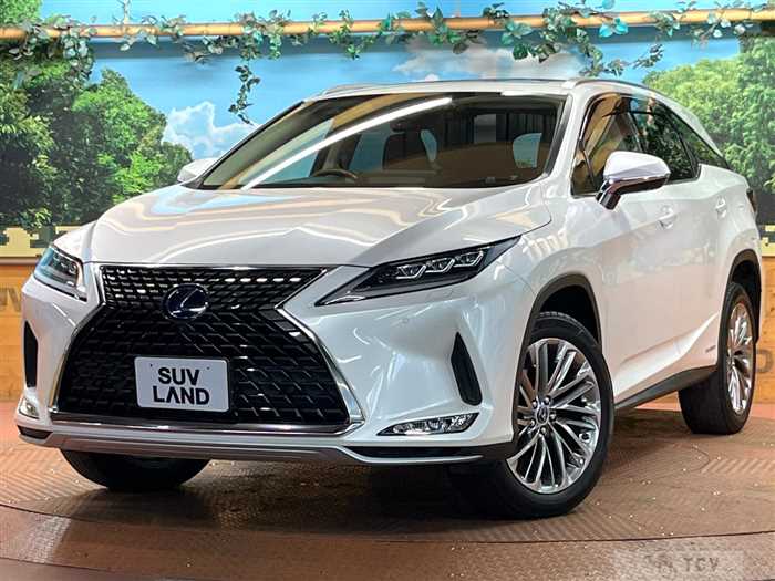 2019 Lexus RX