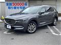 2018 Mazda CX-8