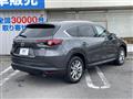 2018 Mazda CX-8