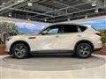 2023 Mazda Mazda Others