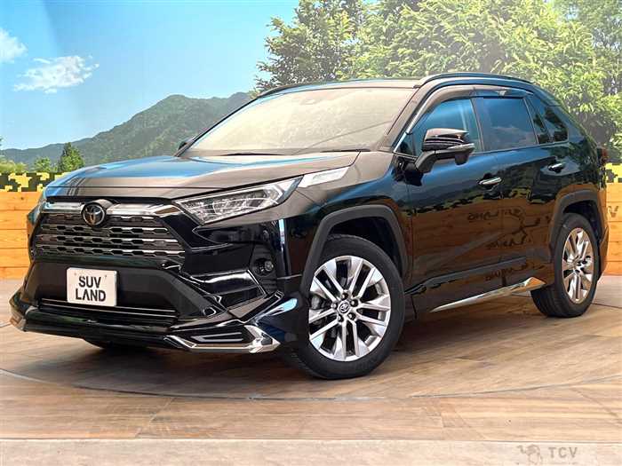 2019 Toyota RAV4