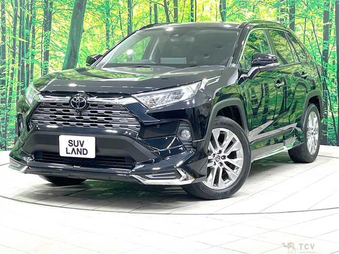 2020 Toyota RAV4