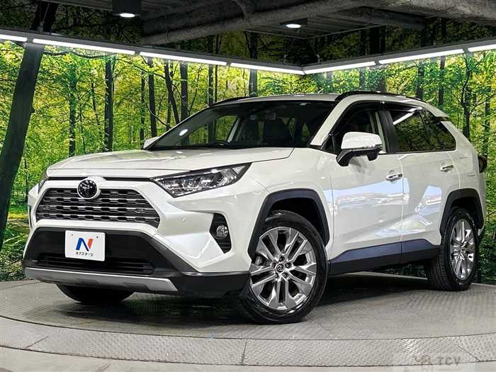 2019 Toyota RAV4