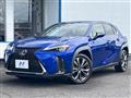 2018 Lexus Other