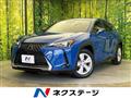 2020 Lexus Other