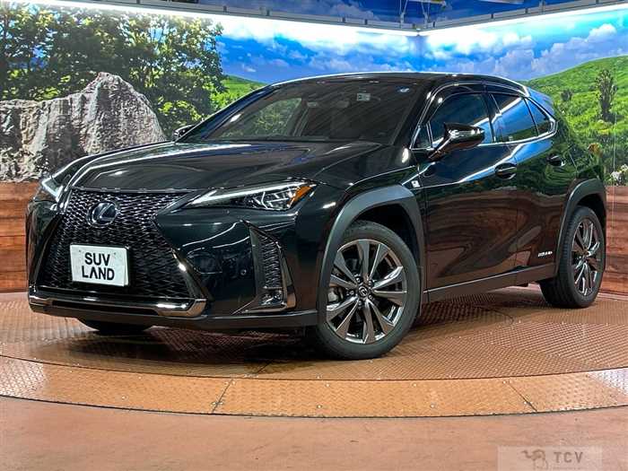 2019 Lexus Other