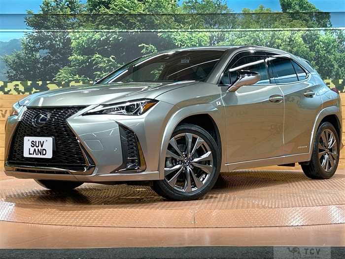 2019 Lexus Other