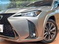 2019 Lexus Other
