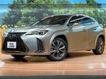 2019 Lexus Other