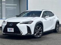 2019 Lexus Other