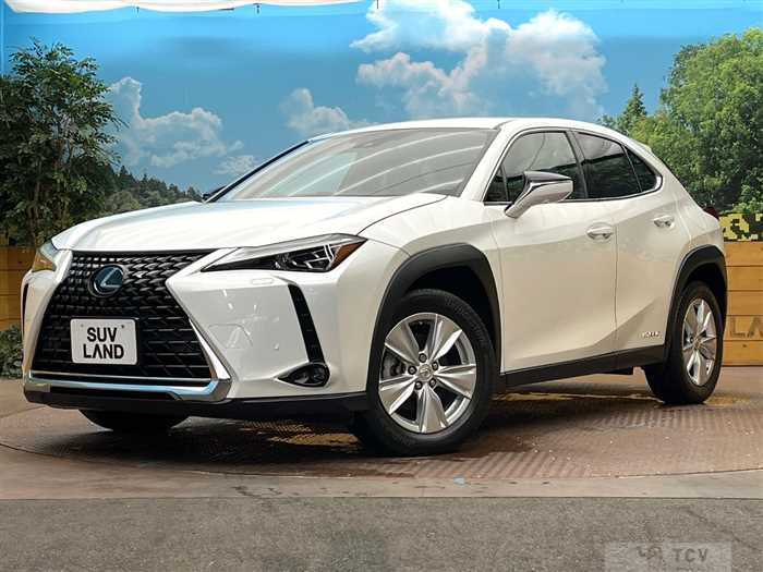 2019 Lexus Other