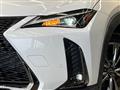 2020 Lexus Other