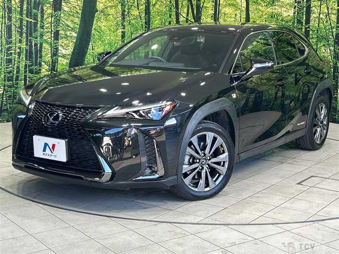 2020 Lexus Other