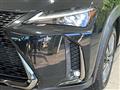 2020 Lexus Other