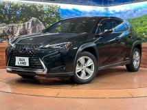 2021 Lexus Other
