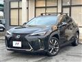 2021 Lexus Other