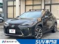 2021 Lexus Other
