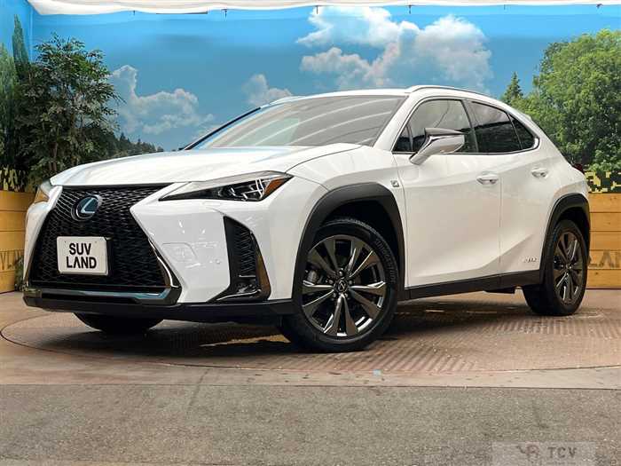 2021 Lexus Other